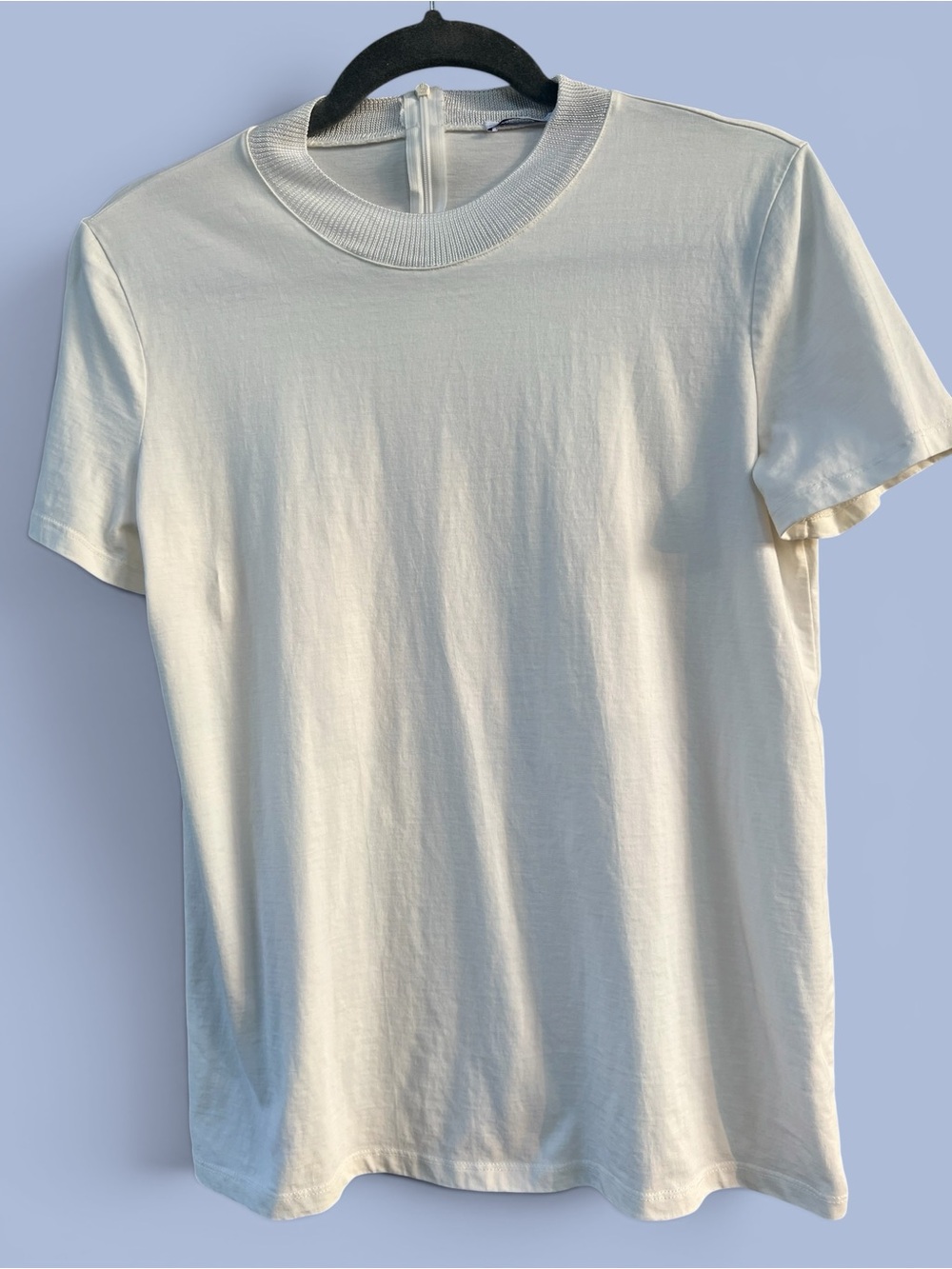 Zara Unique Minimalist Crewneck T-Shirt/ribbed Collar/Back zipper. Sz Large